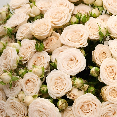 Монобукет из кустовой розы Sophie